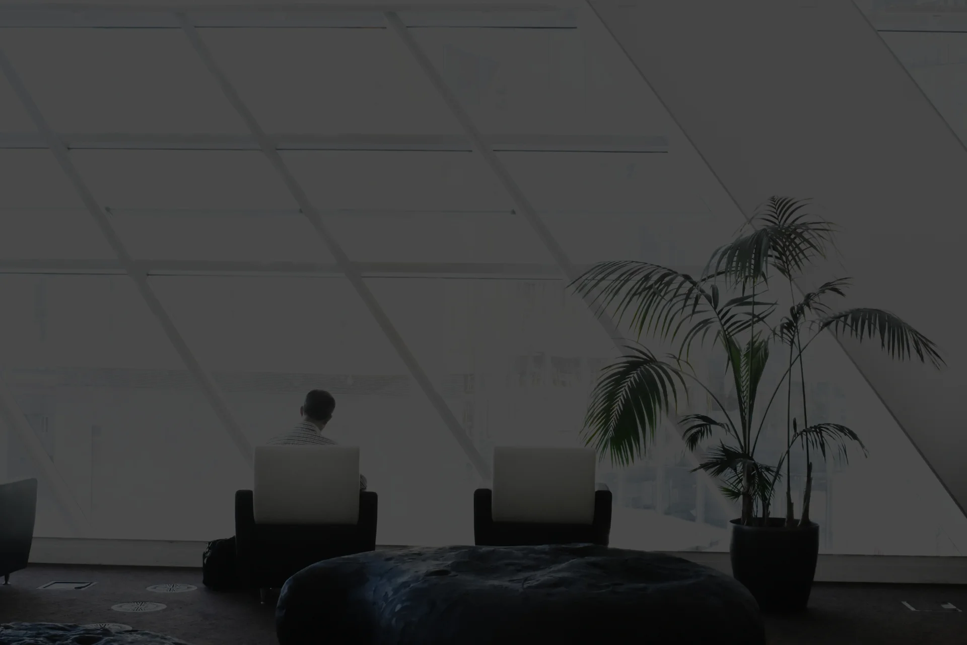 An open office floor with two empty armchairs, a potted palm, and one person working at a laptop in the distance
